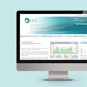 Identite visuelle marque Hex Site internet corporate