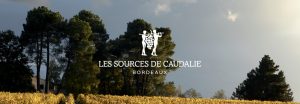 Agence Le 6-Ref-Les Sources de Caudalie-Logotype-Print-Identite visuelle-Graphic Design-Communication corporate Paris-Vigne