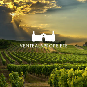 Agence le 6_Key visuel-Vignes-Bouteilles de vins- Ventealapropriete.com-Affiche-Illustration-e commerce-Communication-image de marque-Corporate branding-Design graphique Paris