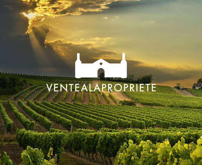 Agence le 6_Key visuel-Vignes-Bouteilles de vins- Ventealapropriete.com-Affiche-Illustration-e commerce-Communication-image de marque-Corporate branding-Design graphique Paris