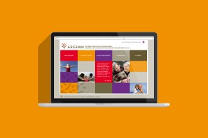 Areram-site internet corporate-univers visuel