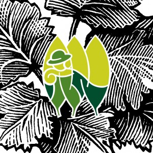 Univers visuel et logotype Cap Saison Paysage