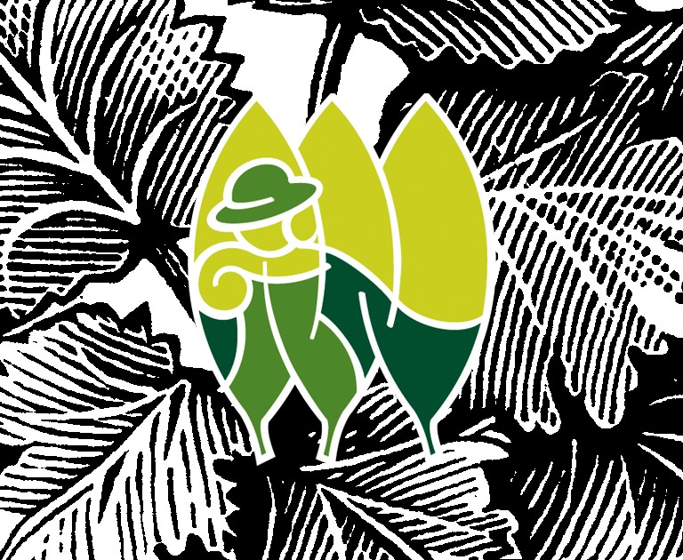Univers visuel et logotype Cap Saison Paysage