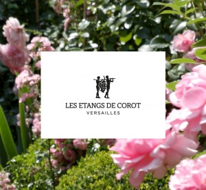 Les etangs de Corot-Logotype-univers visuel-Creation graphique Agence le 6 Paris