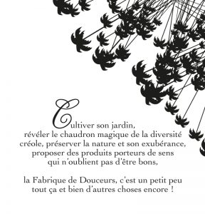 La Fabrique de Douceurs-Charte produit-Univers visuel-Style graphique-Agencele6.com