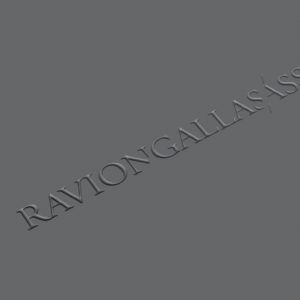 Ravion_Gallas_Associes_Marquage_Logotype-creation-graphique-paris-agence-le6