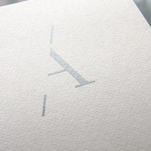 Ravion_Gallas_Associes_Marquage_Logotype-creation-graphique-paris-agence-le6