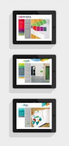Agefiph_Alther_Agencele6_Charte graphique online_Creation graphique paris_01