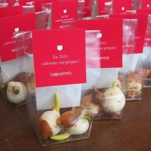 Tulipcomm's.Identite visuelle-Carte de voeux-univers visuel-charte graphique-Logotype-creation graphique-agence le 6- Paris