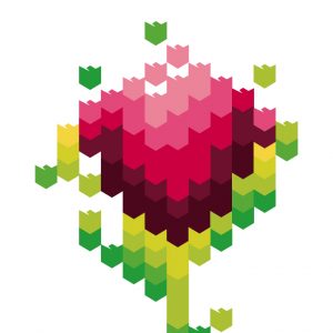 Tulipcomm's.Identite visuelle-Logotype-creation graphique-agence le 6- Paris