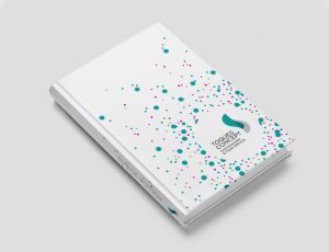 Toques Concept_e.commerce-site internet-creation graphique-agencele6Paris-univers visuel-Edition