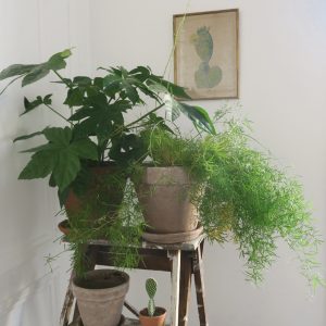 Agencele6-Paris-Rue reaumur-75003-Le jardin-Design Graphique