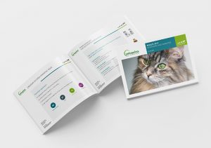 V_Brochure_Mockup_5_EN_Agence-le-6_Design-Graphic-Paris_Communication-corporate_branding_Strategie-de-marque_Logotype_refonte