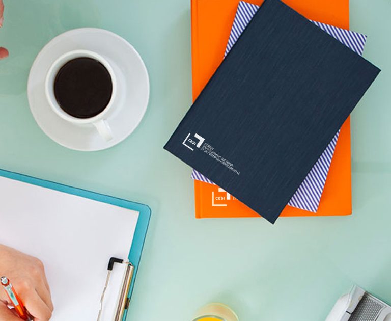 Agence Le 6-Cesi-Photo-Formation-Designe corporate-Branding-Charte graphique-Campus-Formation