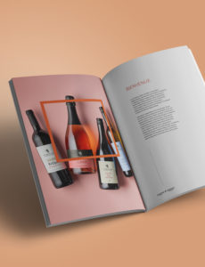 Agence le 6_ Chateau net-Chateau Primeur-invitation-Duclot-Edition-e commerce-Communication-image de marque-Corporate branding-Design graphique Paris